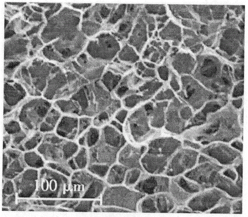 Bacteriostatic hydrogel dressing for wound repair and preparation method thereof