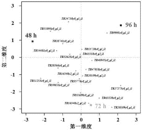 Method of analyzing and identifying DHA biosynthesis related fatty acid desaturase gene in crypthecodinium cohnii by means of De novo transcriptome