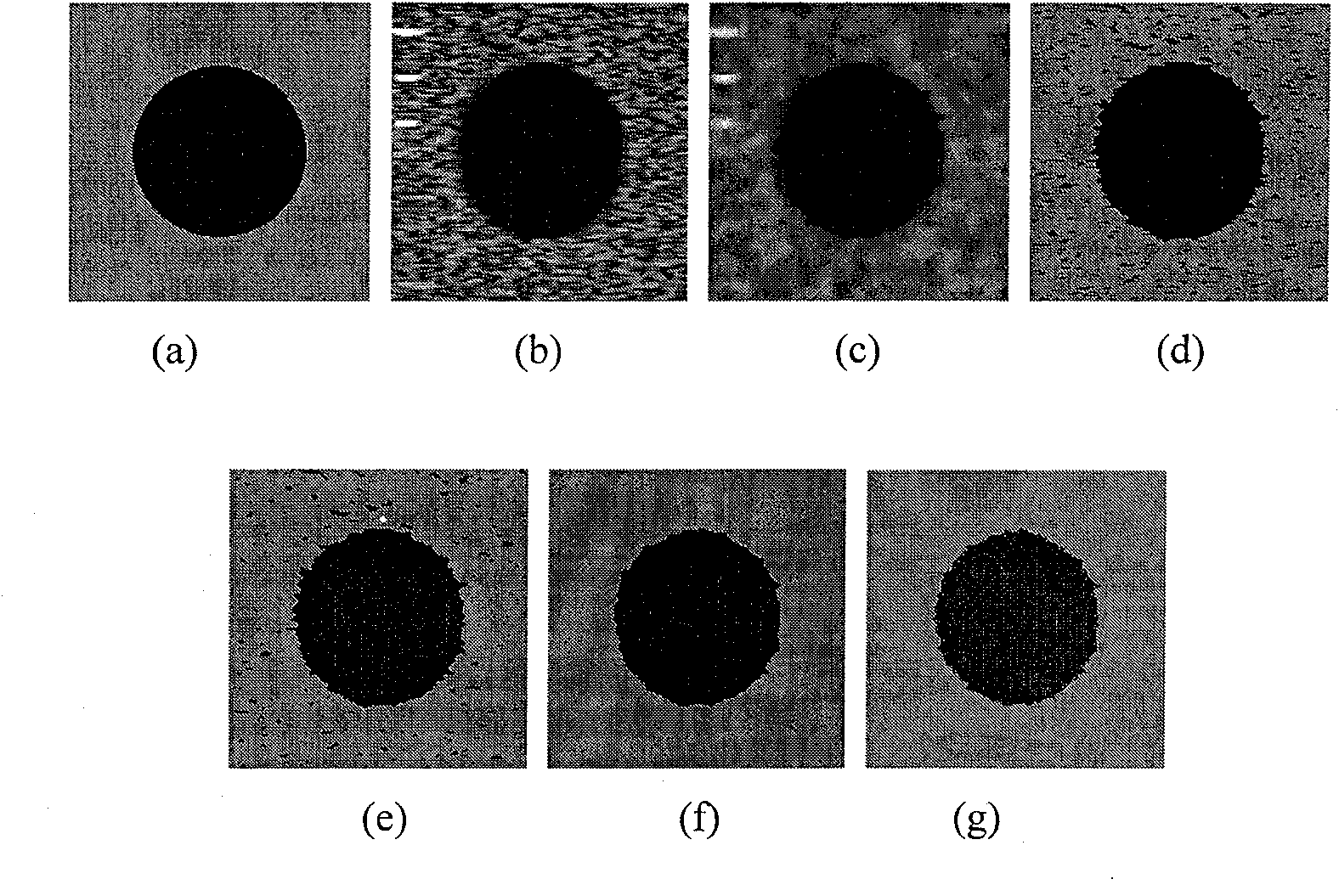 Two-dimensional blur polymer based ultrasonic image division method