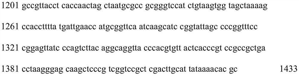 A kind of bacillus licheniformis and its screening method and application