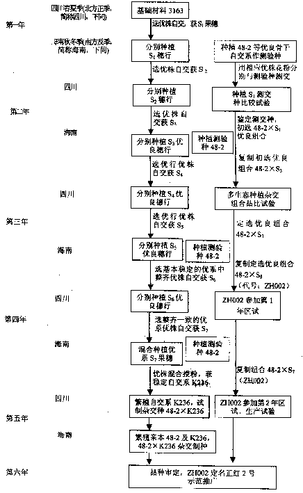 Fast and efficvent corn shuttle pedigree breeding process