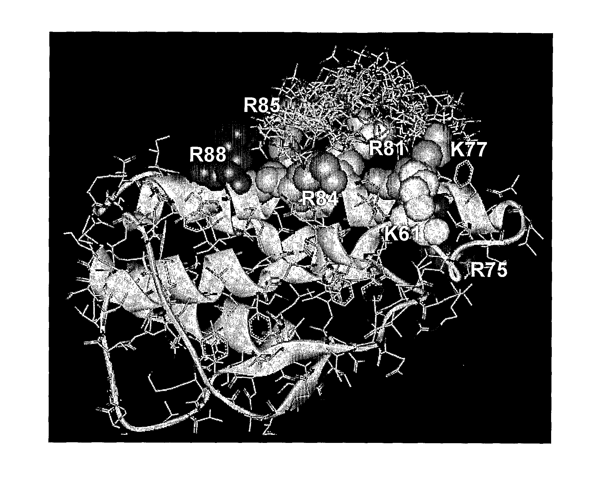 Therapeutic Heparins and Their Binding to Interleukins 4 and 5 and Pecam-1