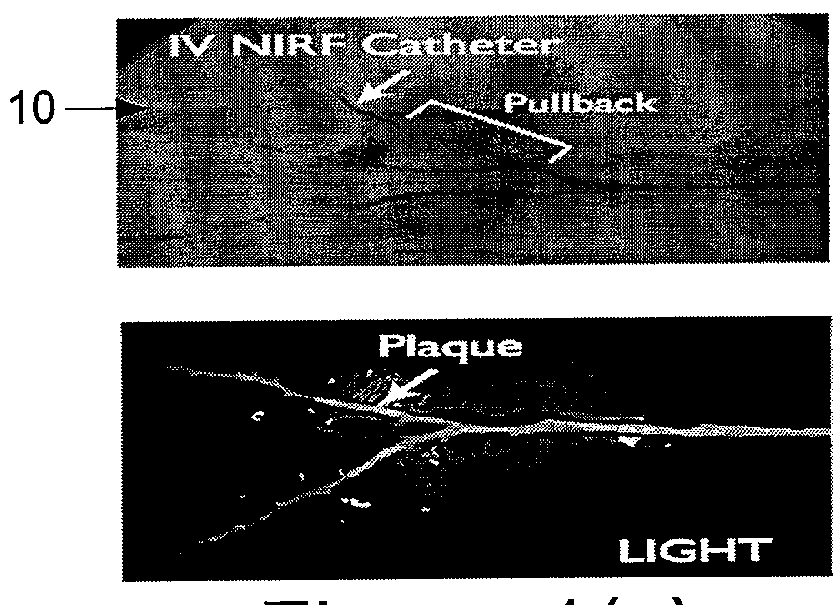 Systems, processes and computer-accessible medium for providing hybrid flourescence and optical coherence tomography imaging