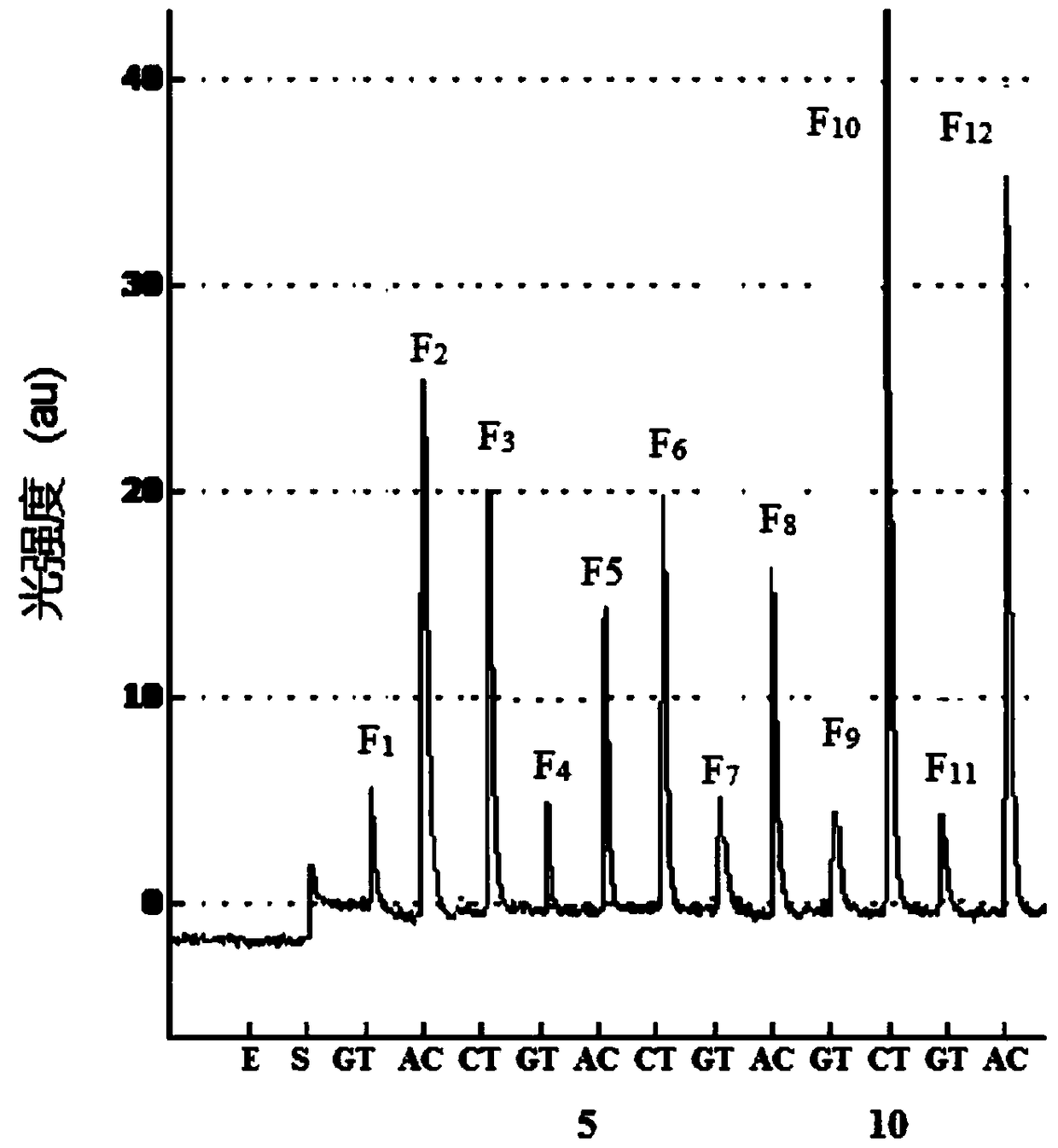 A method for the quantitative detection of methylation by pyrosequencing of two nucleotide synthesis