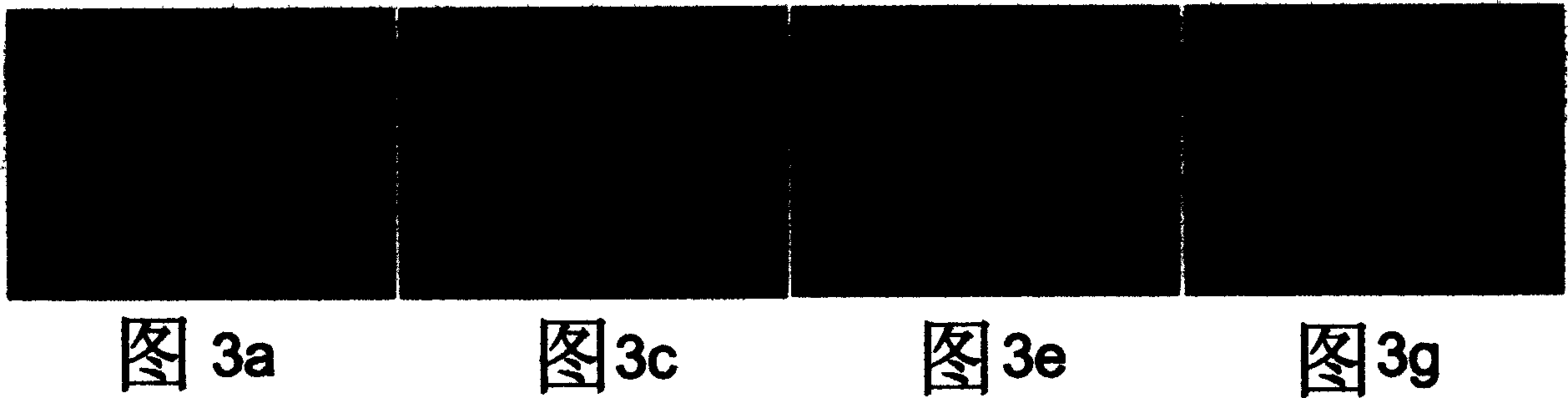 Lattice for testing multiple biological molecule and use method thereof