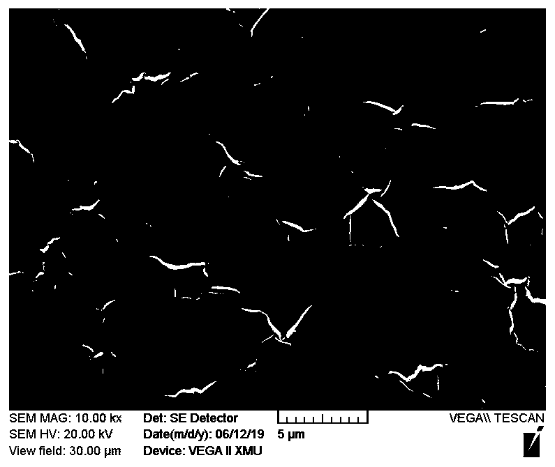 Plasticized polymer ionic liquid film and method for selective separation of chromium (VI) through same