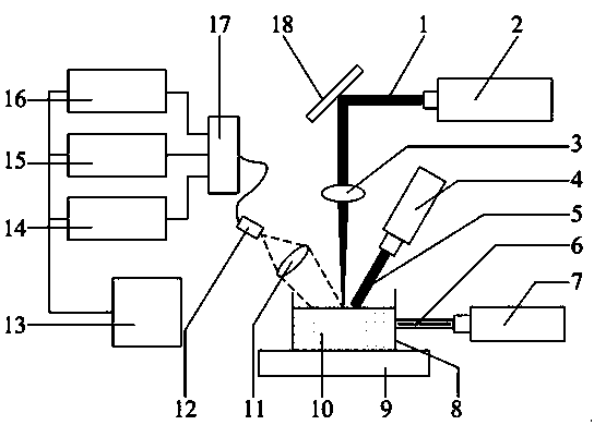 Method and device for quickly detecting hogwash oil based on multi-source information fusion