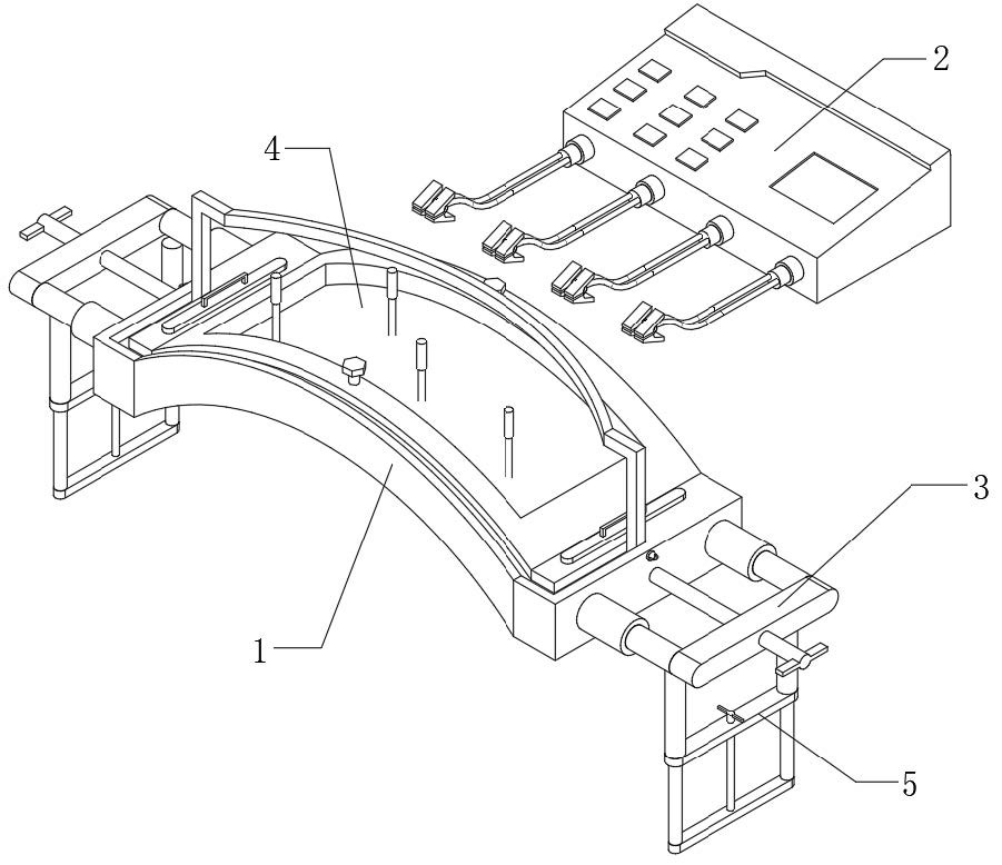 Acupuncture therapeutic instrument for treating nephropathy through targeted introduction into renal region for rehabilitation