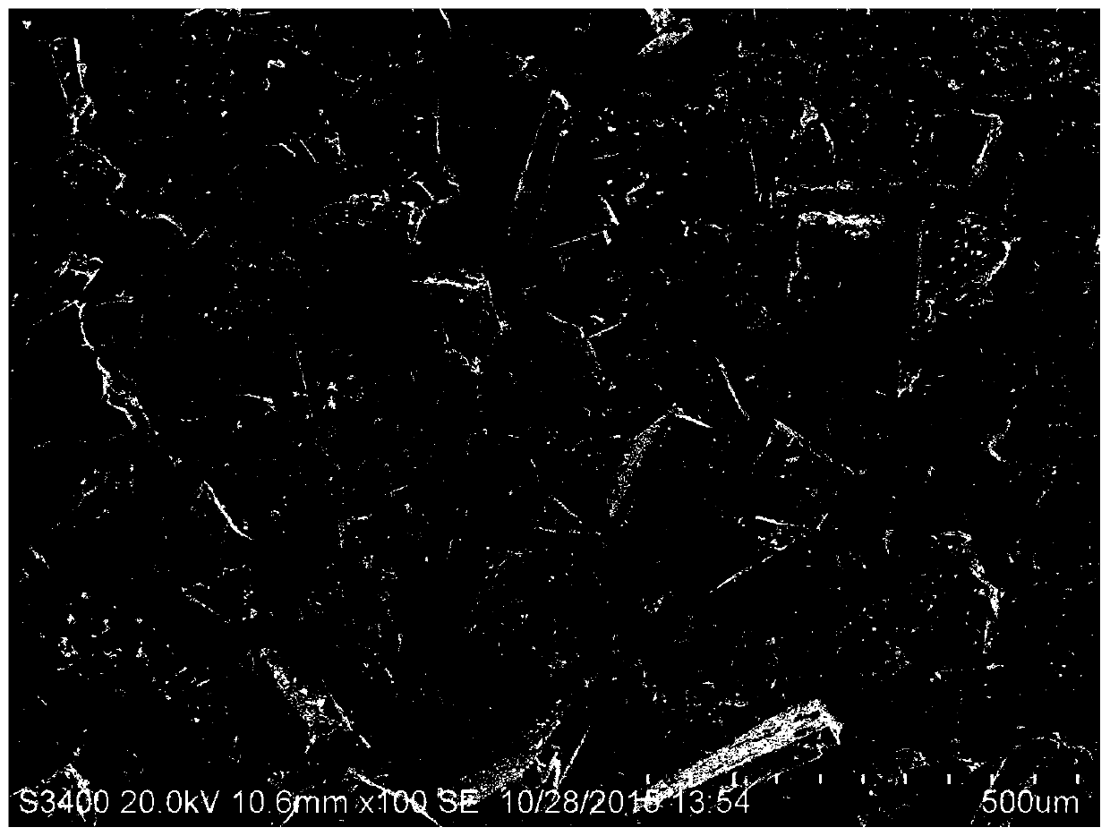 Heat-resistant protective agent, swine fever live vaccine that can be stored at room temperature, preparation method and application thereof