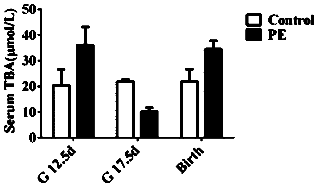 Method for promoting mammalian filial generation growth through maternal addition of phytosterol ester