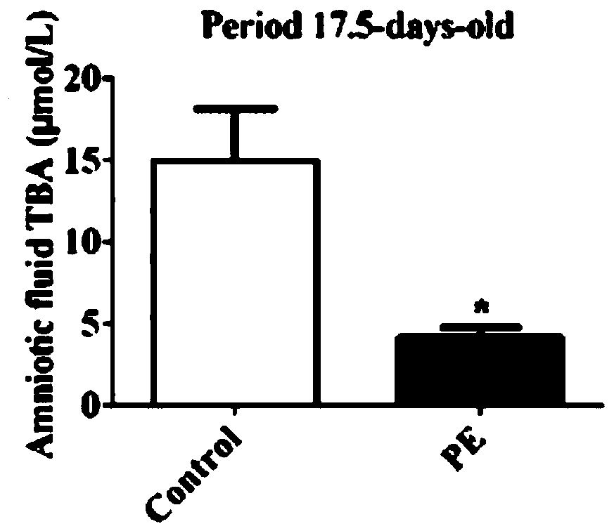 Method for promoting mammalian filial generation growth through maternal addition of phytosterol ester