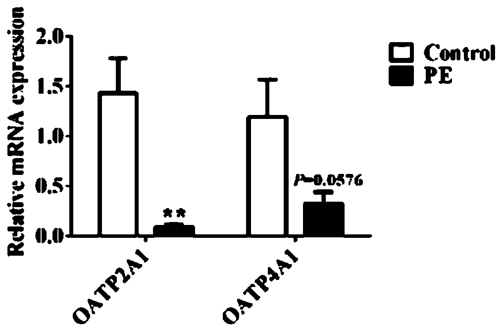 Method for promoting mammalian filial generation growth through maternal addition of phytosterol ester