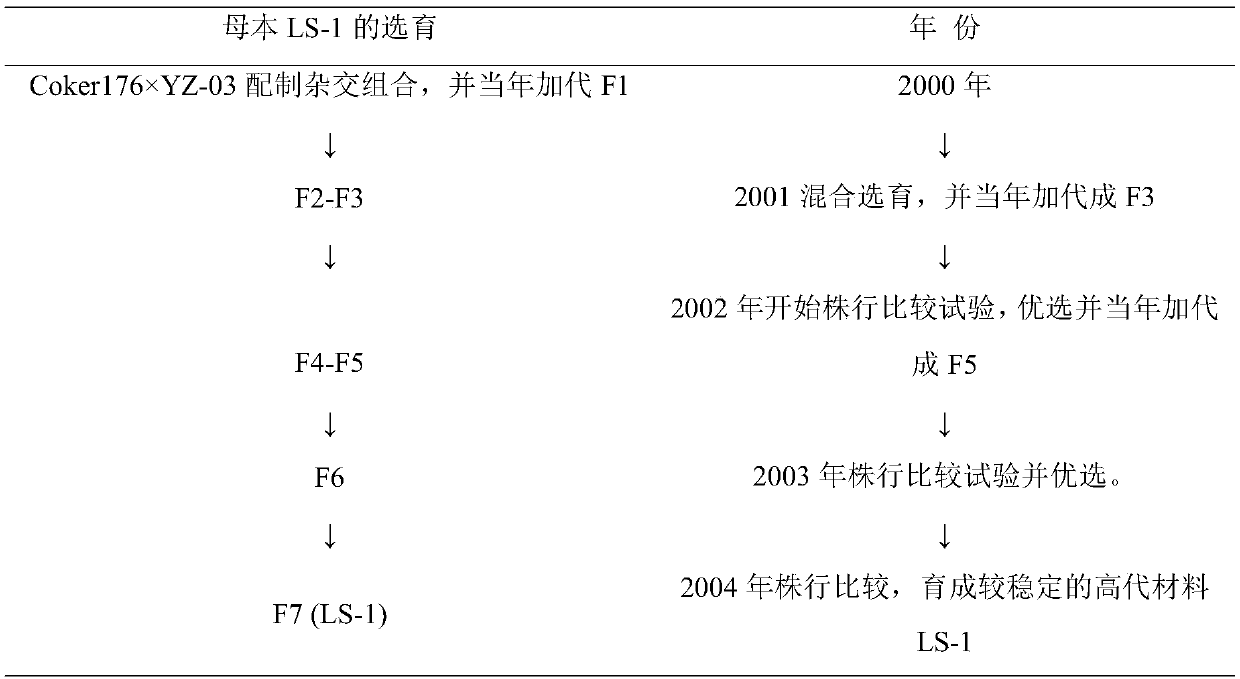 Breeding method for flue-cured tobaccos of new specie