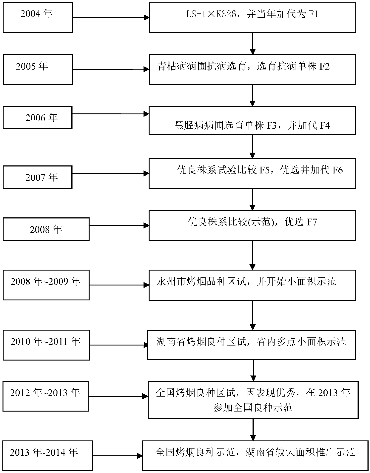 Breeding method for flue-cured tobaccos of new specie