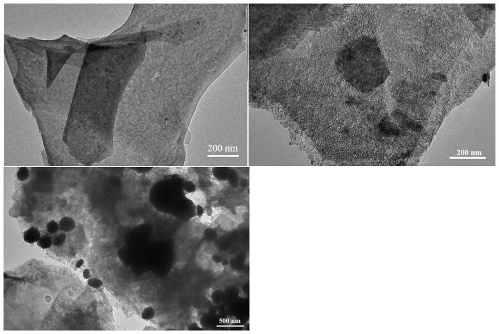 Preparation method and application of P-Co/CoO heterojunction nano material