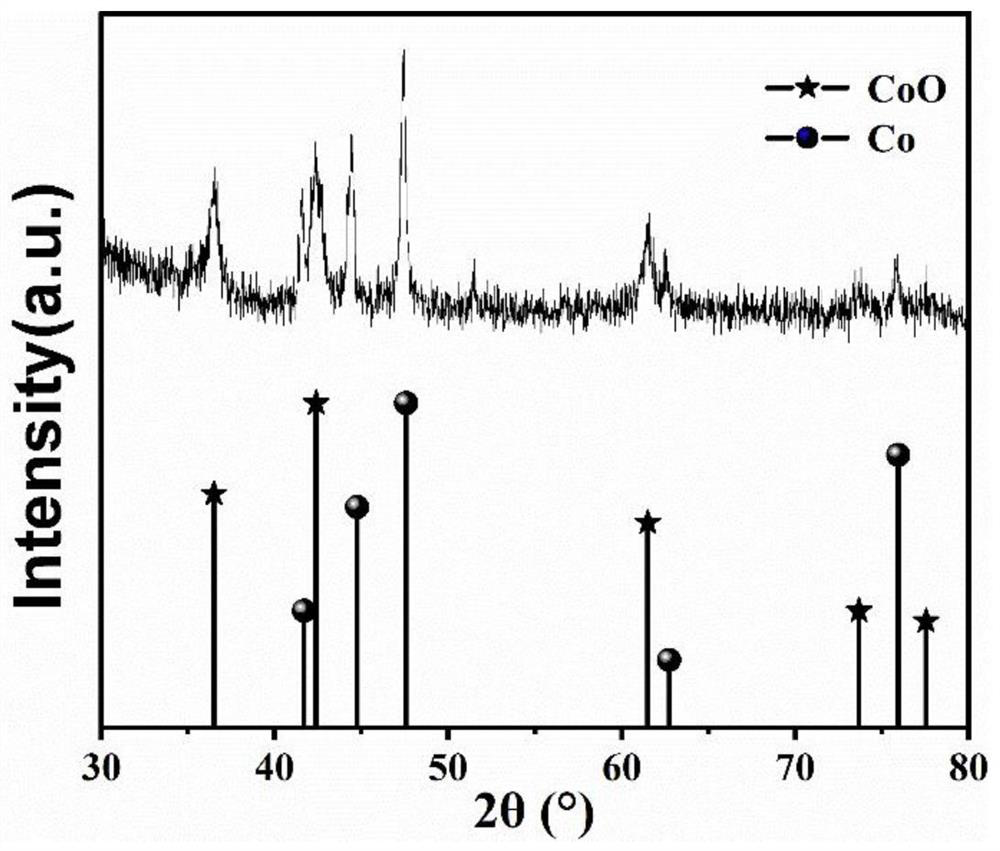 Preparation method and application of P-Co/CoO heterojunction nano material