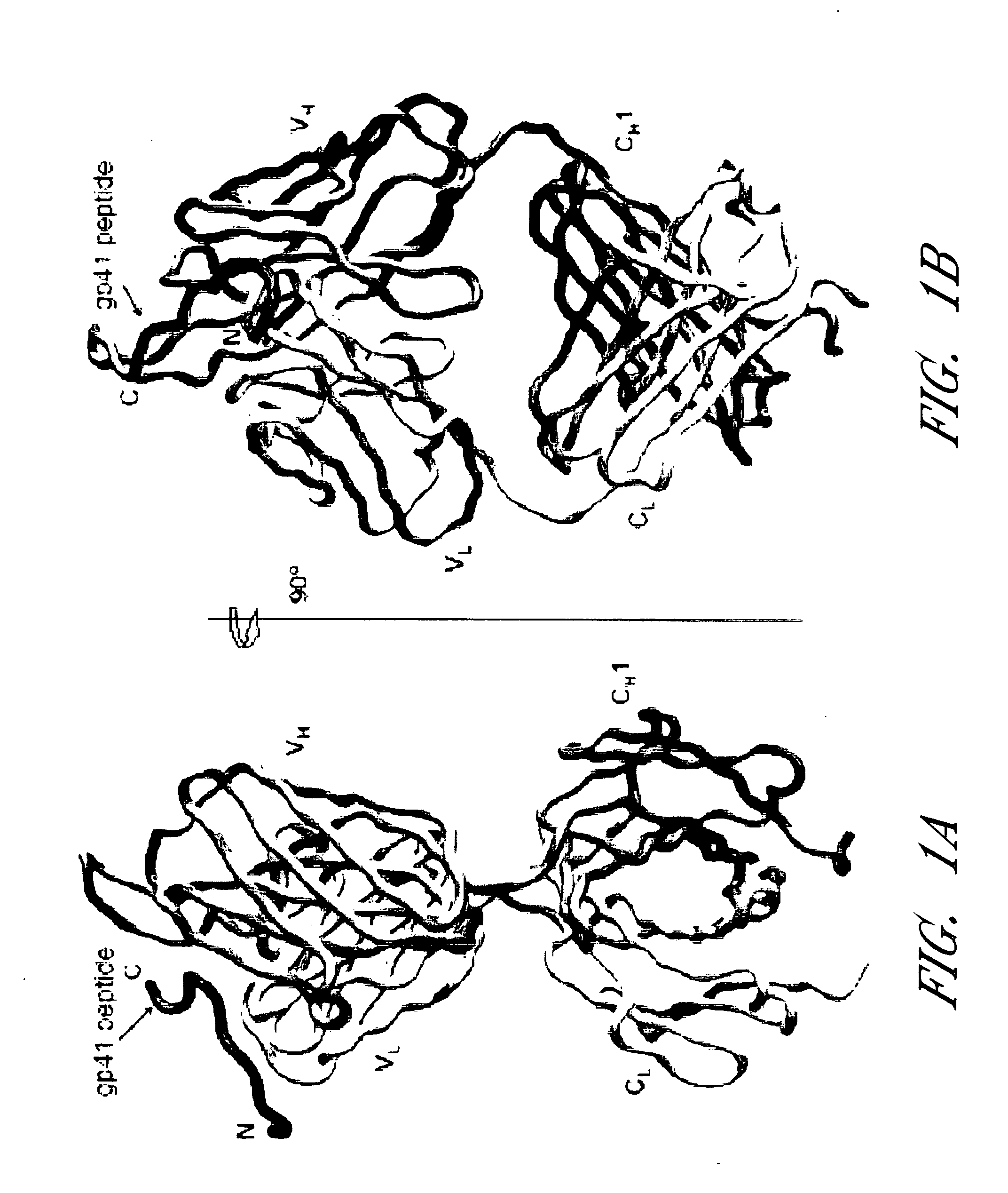 HIV vaccine immunogens and immunization strategies to elicit broadly-neutralizing anti-HIV-1 antibodies against the membrane proximal domain of HIV GP41