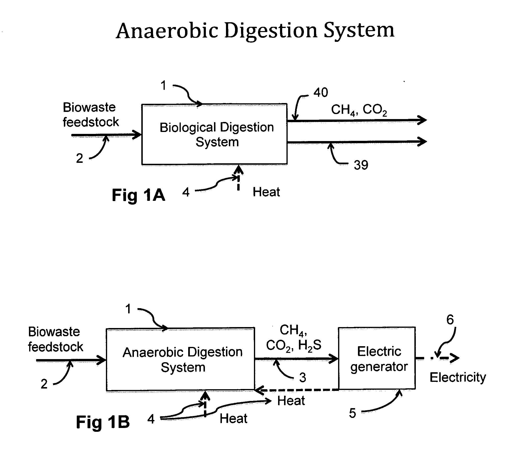 Biological solids processing system and method