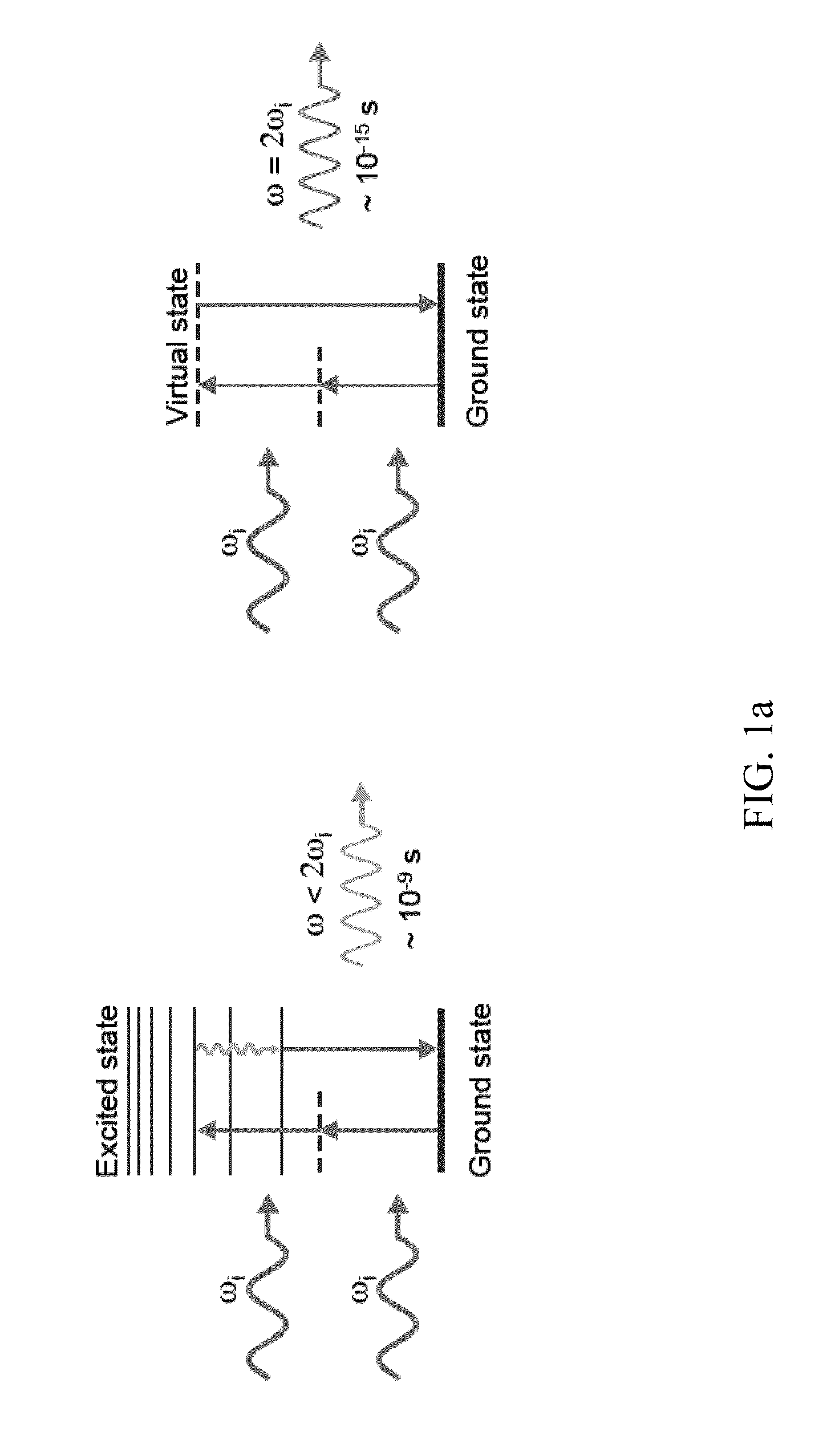 Multipurpose analysis using second harmonic generating nanoprobes