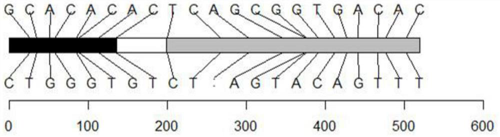 Recombined nucleic acid fragment reccr010315 and its detection primer and application