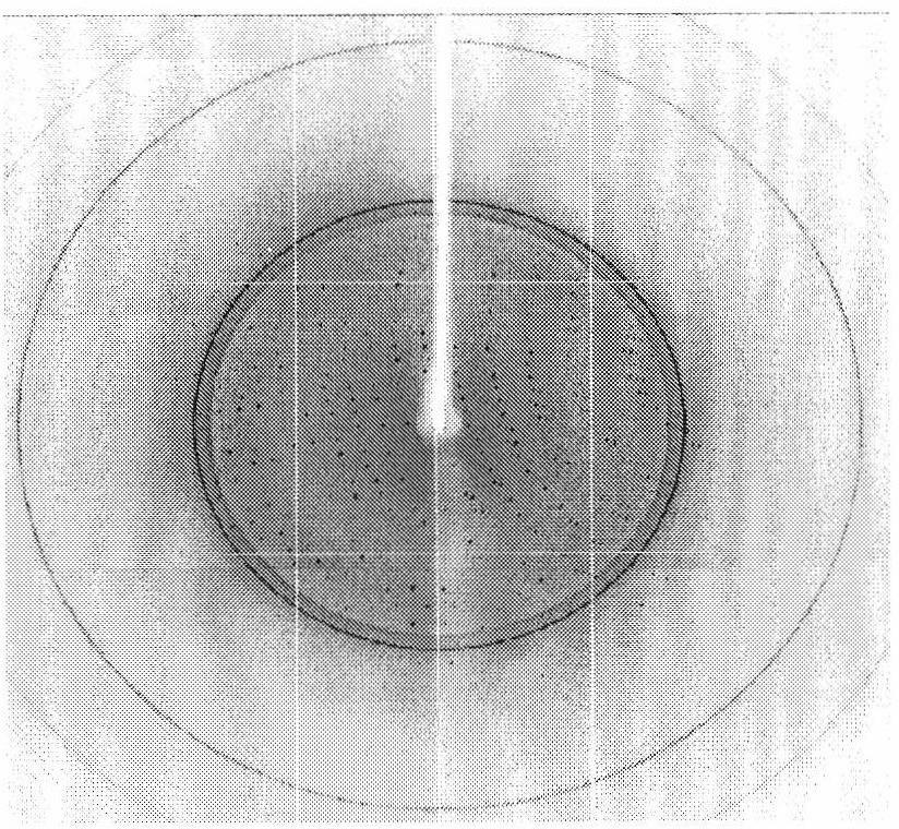 Variable-conformation recombinant interferon crystal, and three-dimensional structure and use thereof