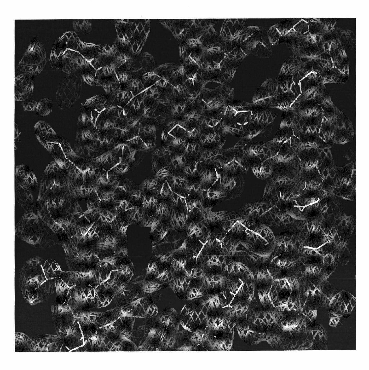 Variable-conformation recombinant interferon crystal, and three-dimensional structure and use thereof