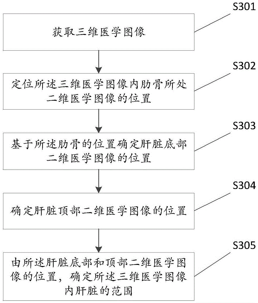 Positioning method and apparatus for the liver scope in medical image