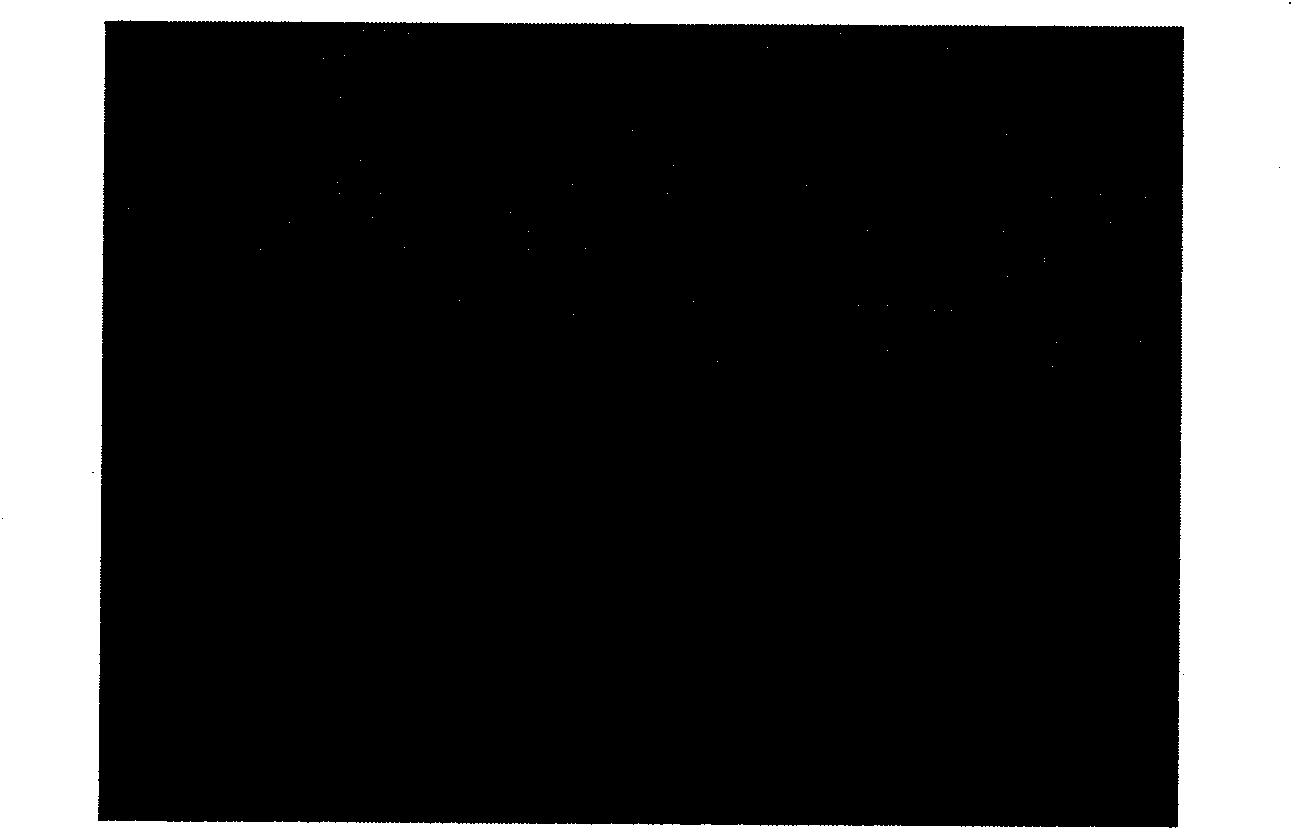 Ordered mesoporous carbon/glass composite material with optical limiting property and preparation method