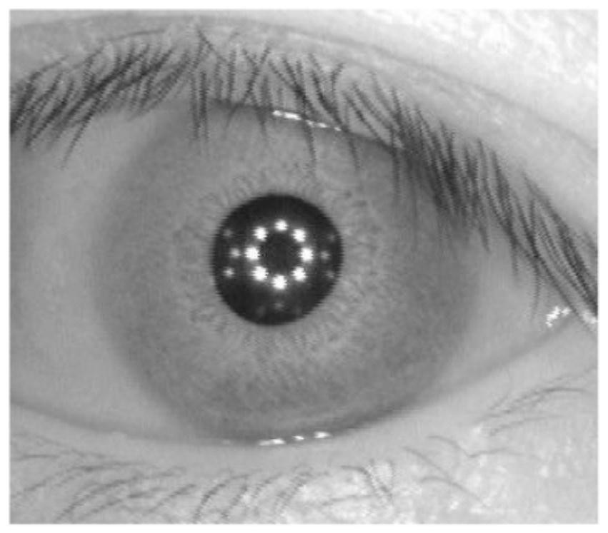 Method and device for iris recognition, terminal equipment and storage medium