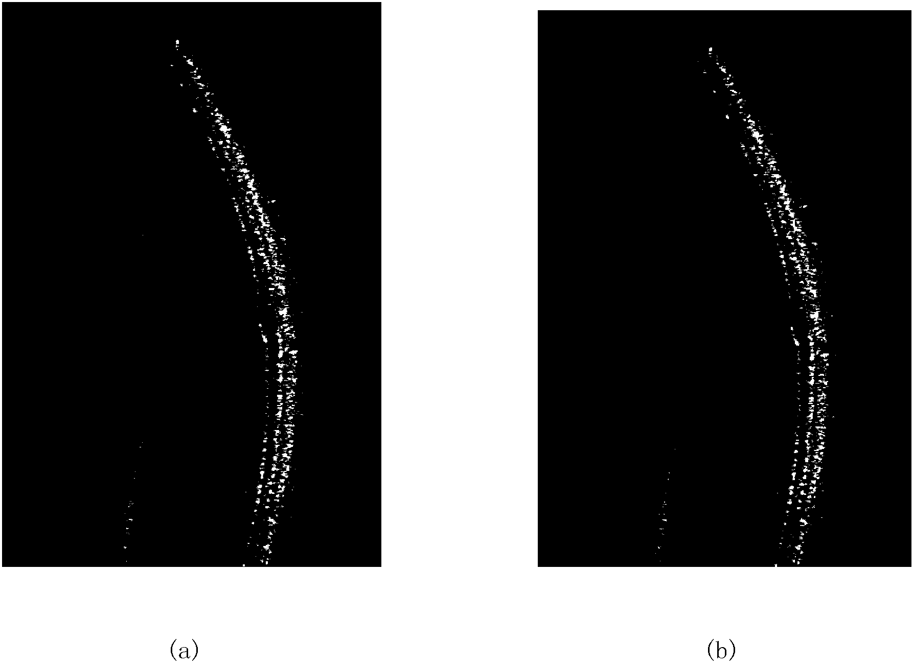 Ophthalmologic frequency-domain optical coherence tomography (OCT) system based on graphics processing unit (GPU) platform and processing method