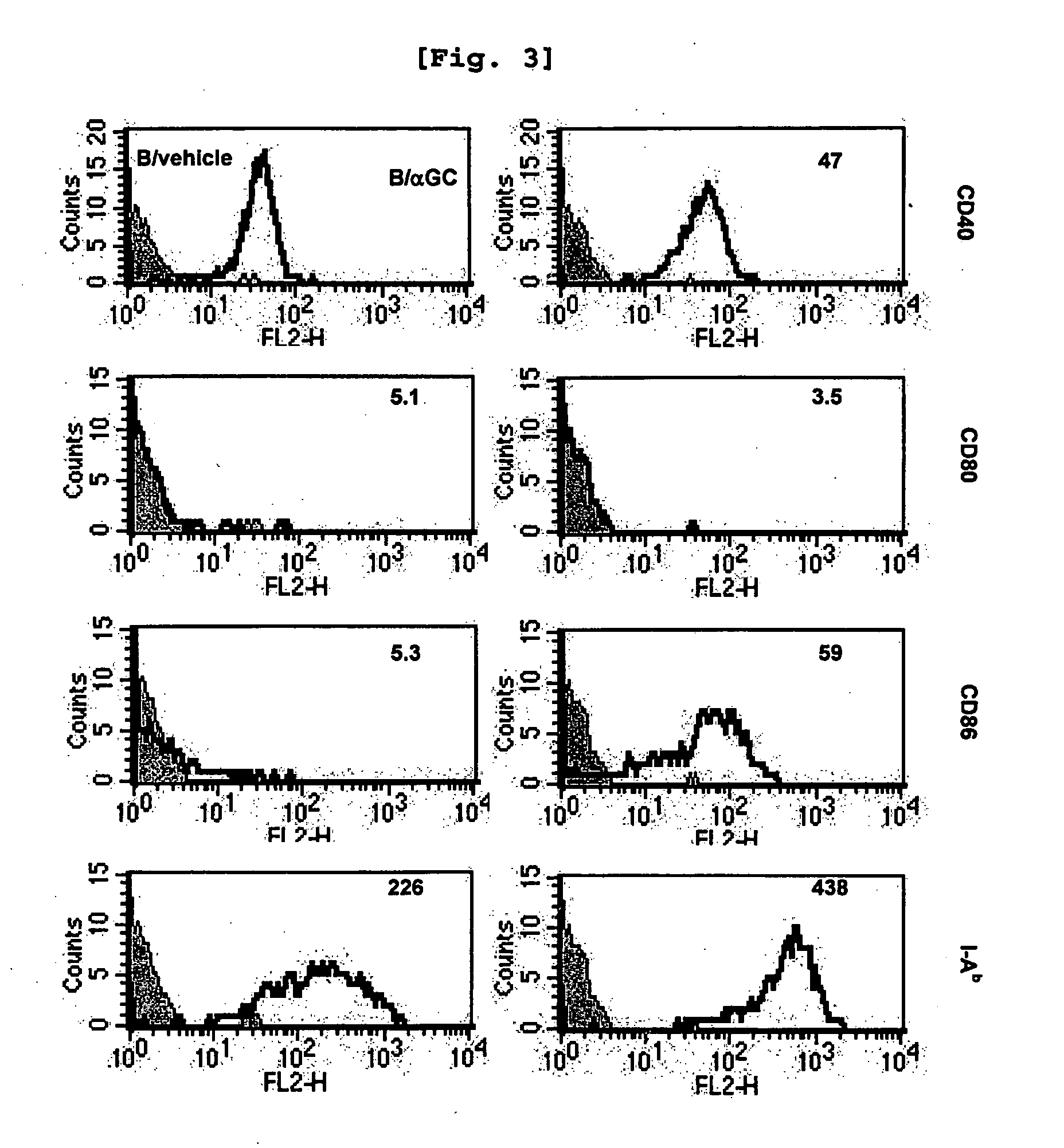 B cell-based vaccine loaded with the ligand of natural killer t cell and antigen