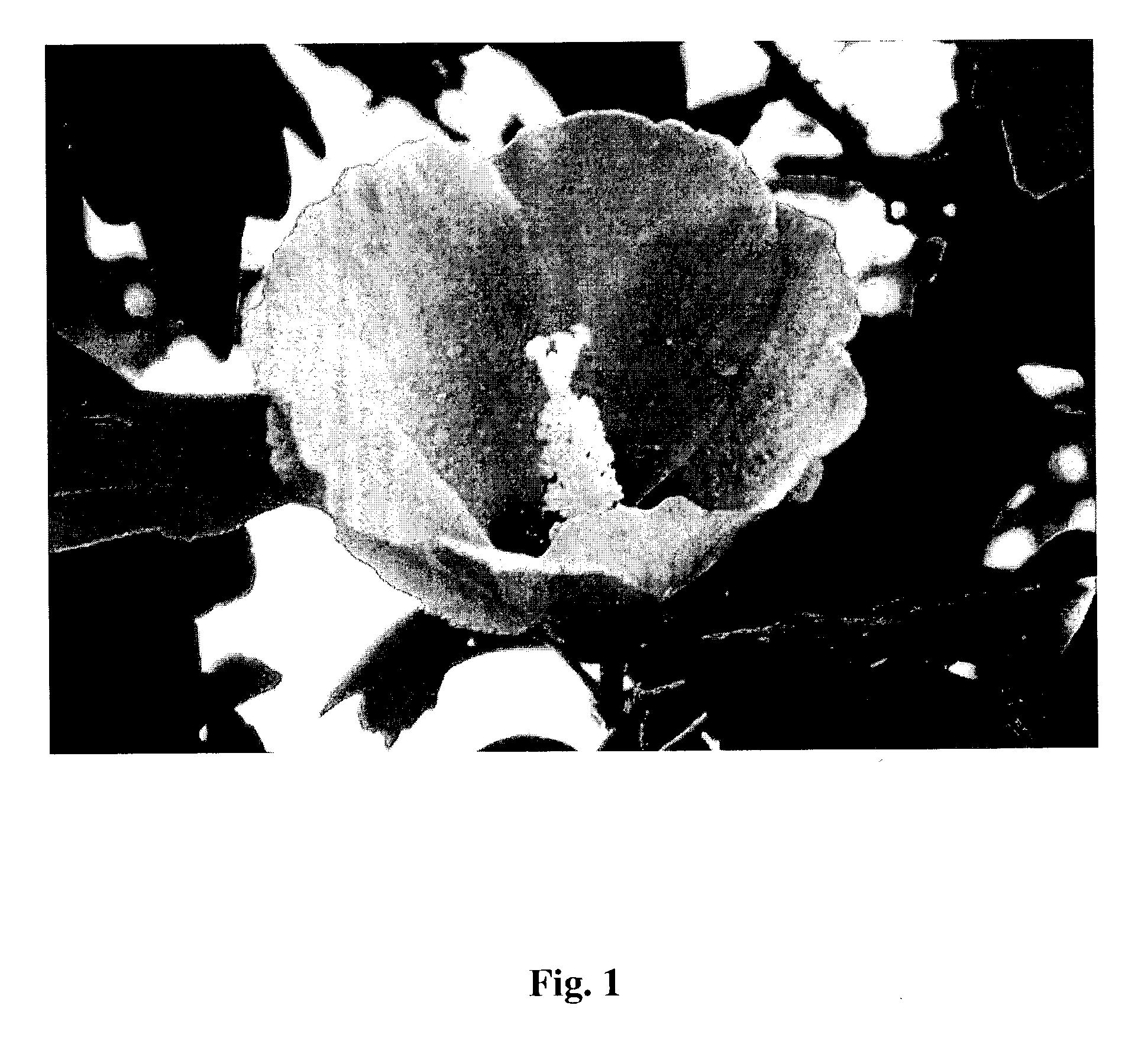 Methods and systems for objective measurement of video quality