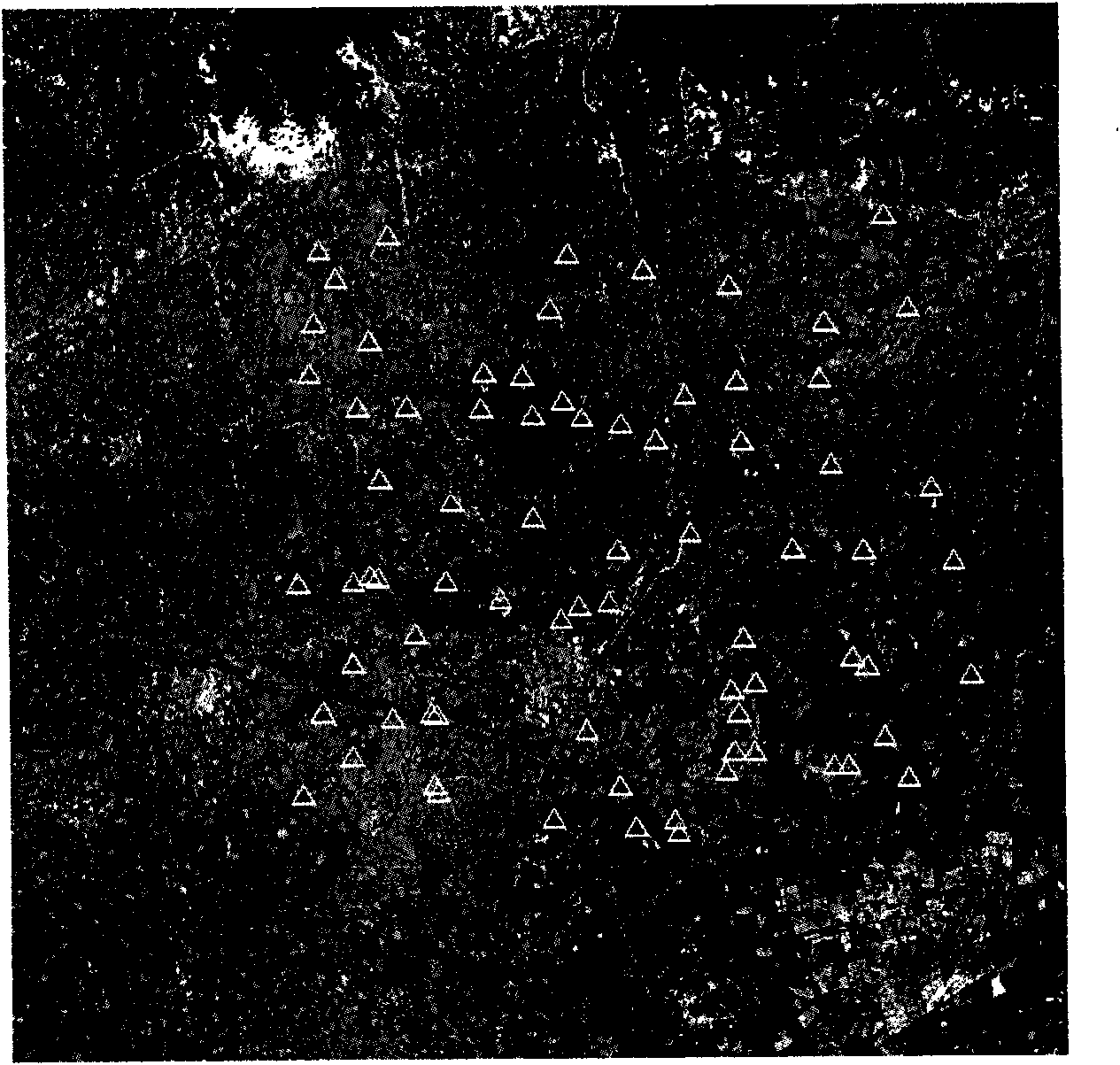 RPC parameter parametric optimization method based on multi-collinearity analysis