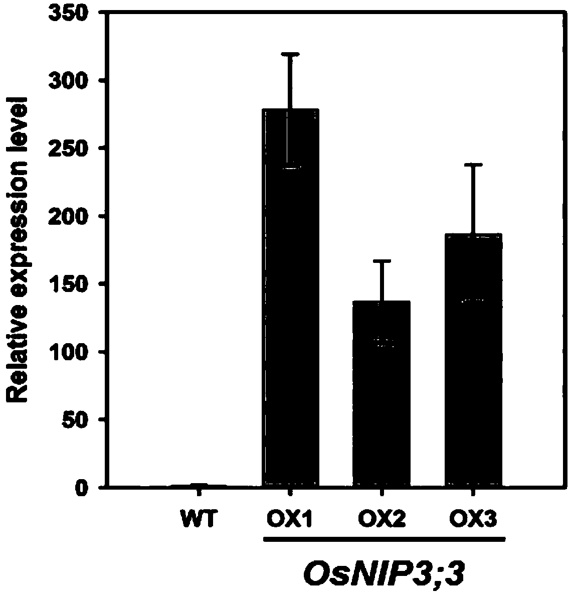 Application of water channel protein coded gene OsNIP3;3 of rice