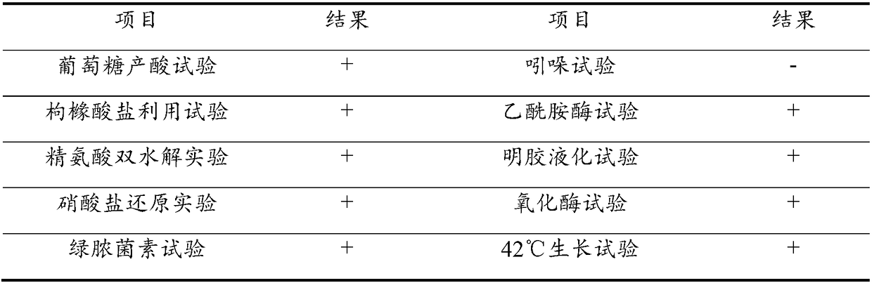 Pseudomonas aeruginosa, method for screening same and application of pseudomonas aeruginosa to lactic acid fermentation on straw