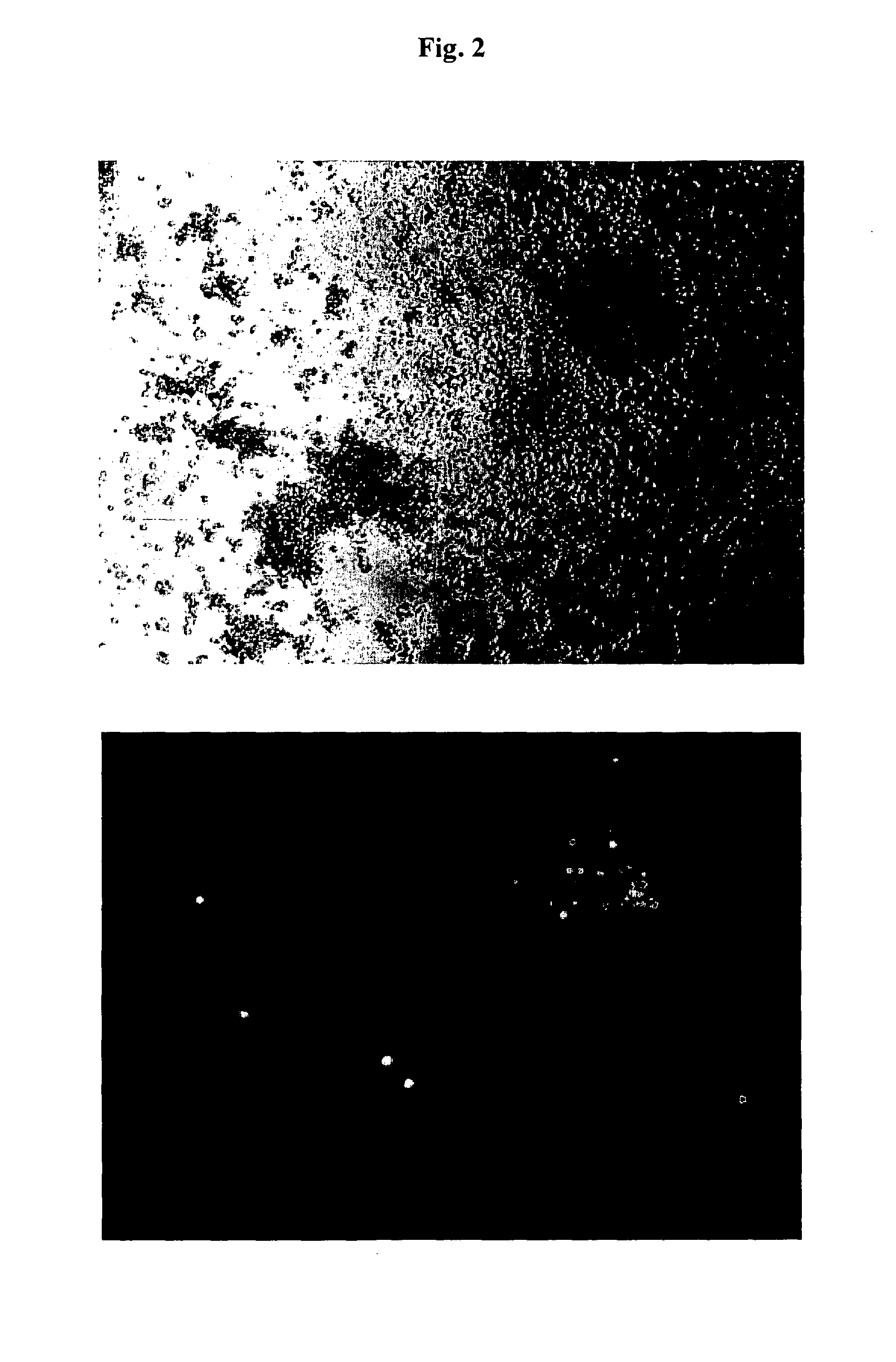 Aad-1 event das-40278-9, related transgenic corn lines, and event-specific identification thereof