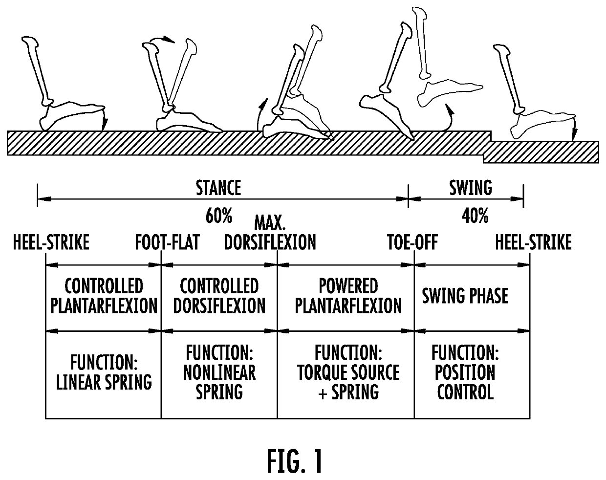 Prosthetic, orthotic or exoskeleton device