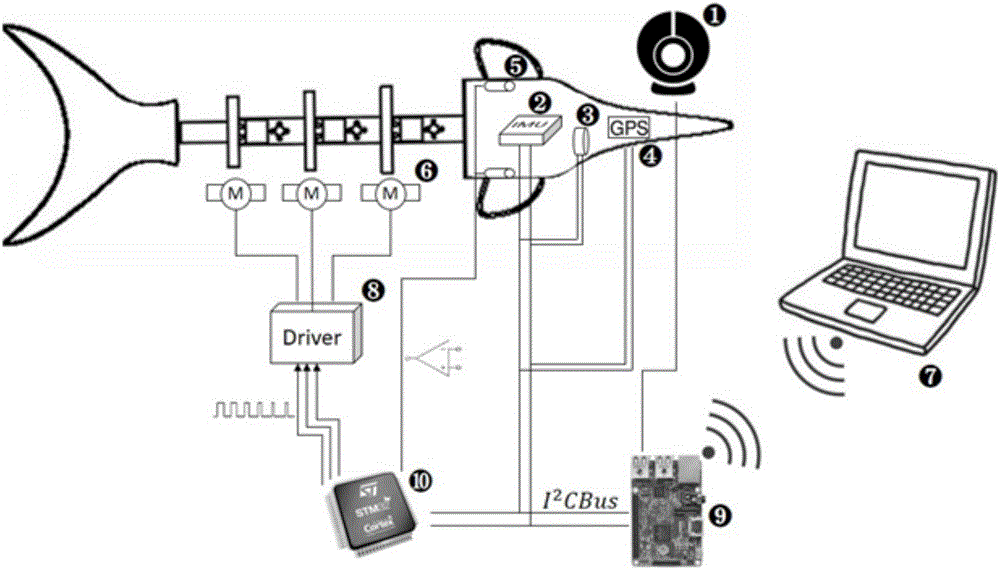 Bionic robot fish control system