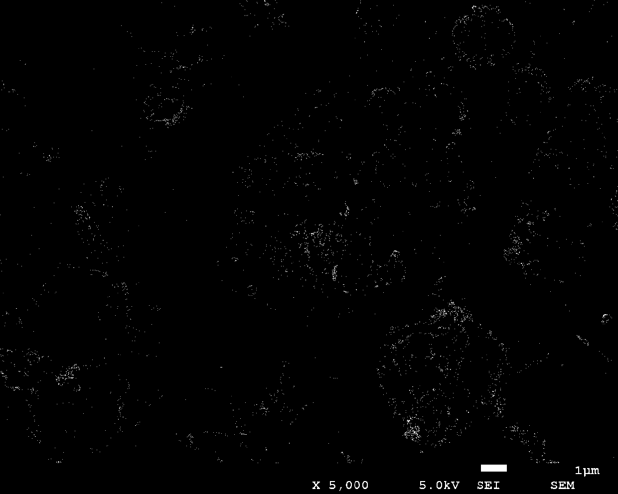 Preparation method of polypyrrole graphite-phase carbon nitride composite material for treating uranium-containing wastewater through photocatalytic reduction and application thereof