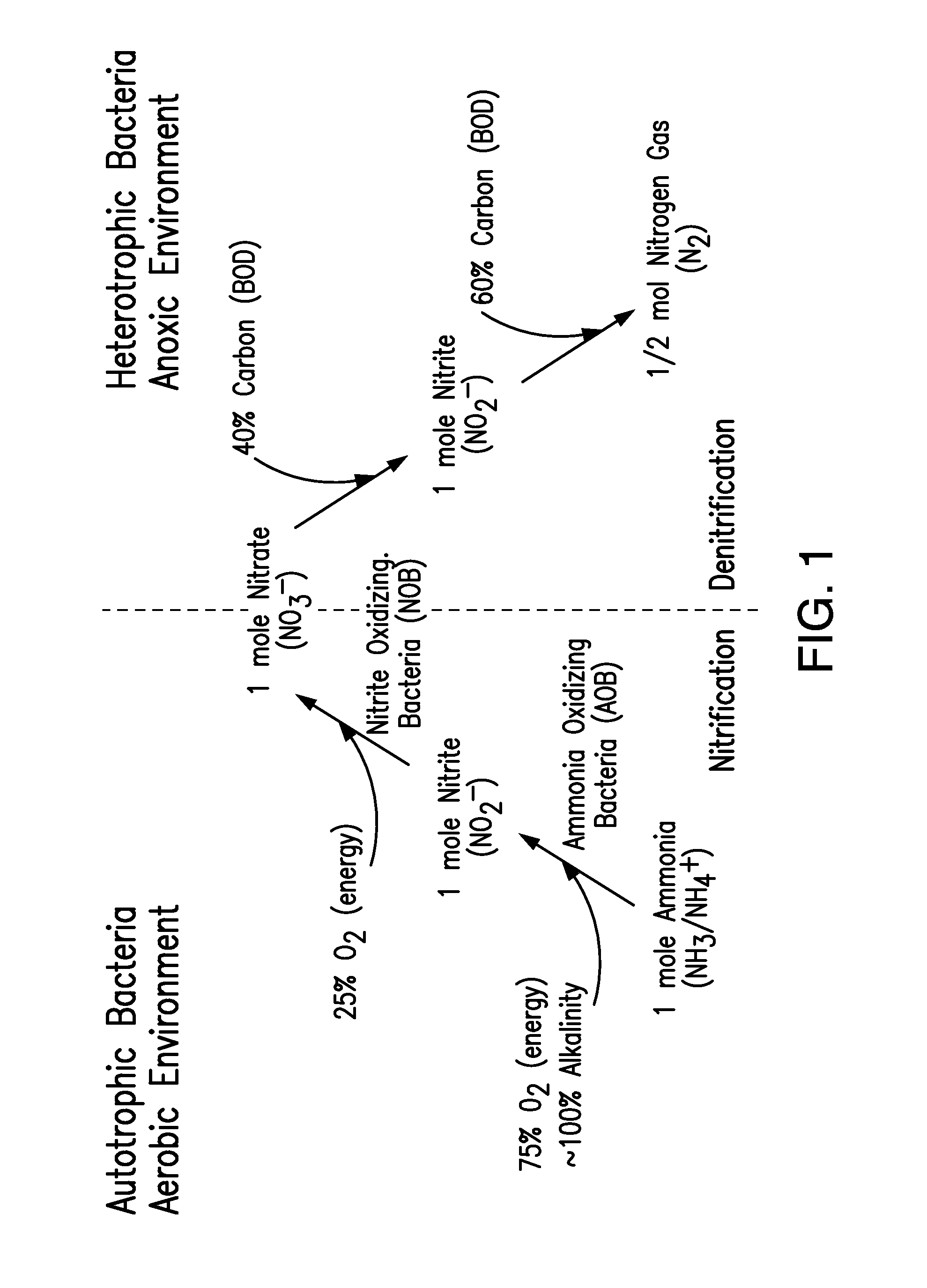 Method and apparatus for nitrogen removal in wastewater treatment