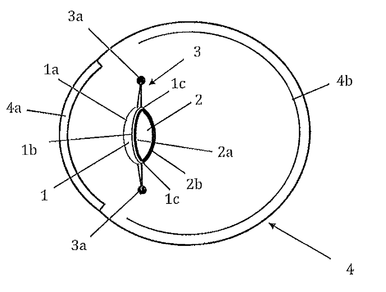 Intraocular lens with accommodation capacity