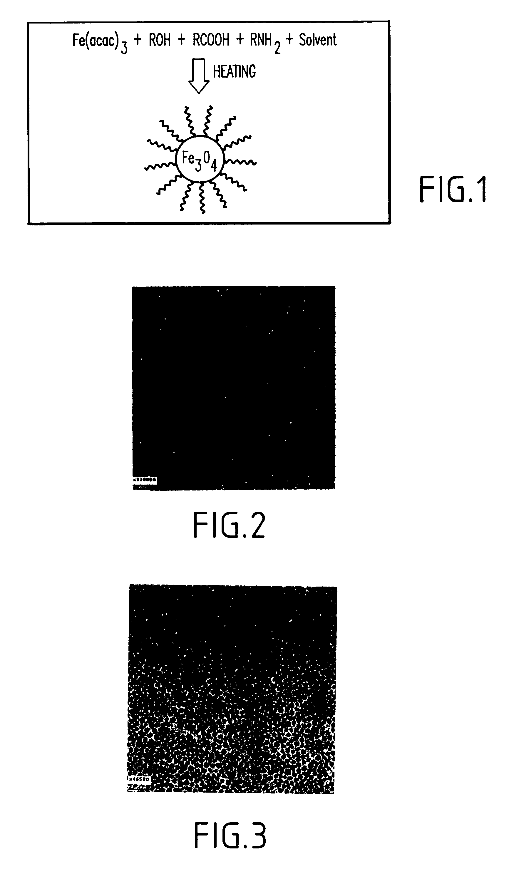 Synthesis of magnetite nanoparticles and the process of forming fe-based nanomaterials