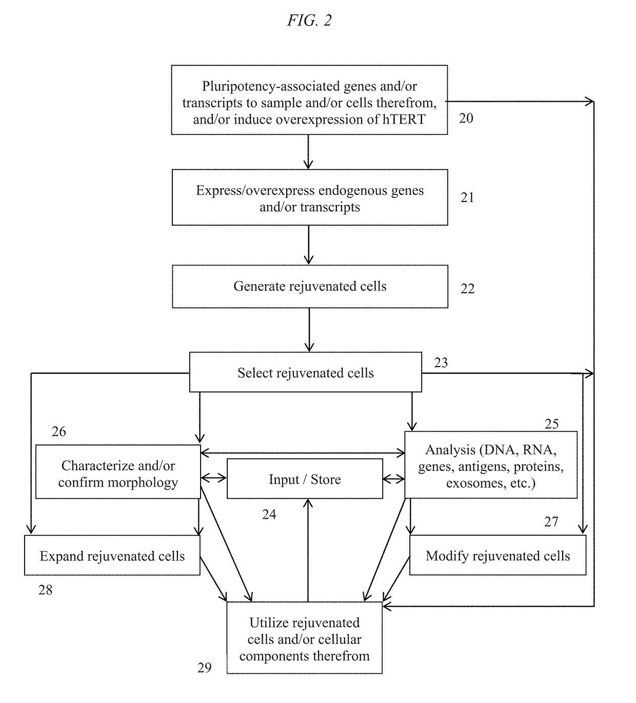 Customized cosmetic compositions, and methods of rejuvenating and utilizing cells and/or components thereof