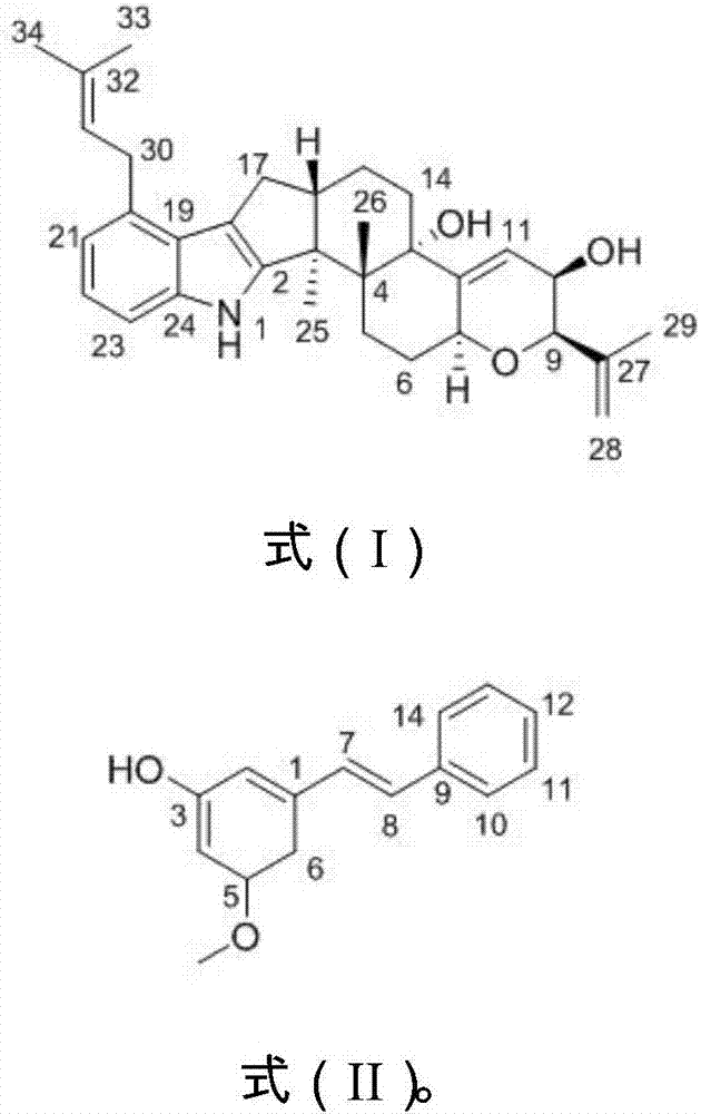 Penicillium commune T3-1, fermentation compounds thereof, extraction and purification method and antiallergic application