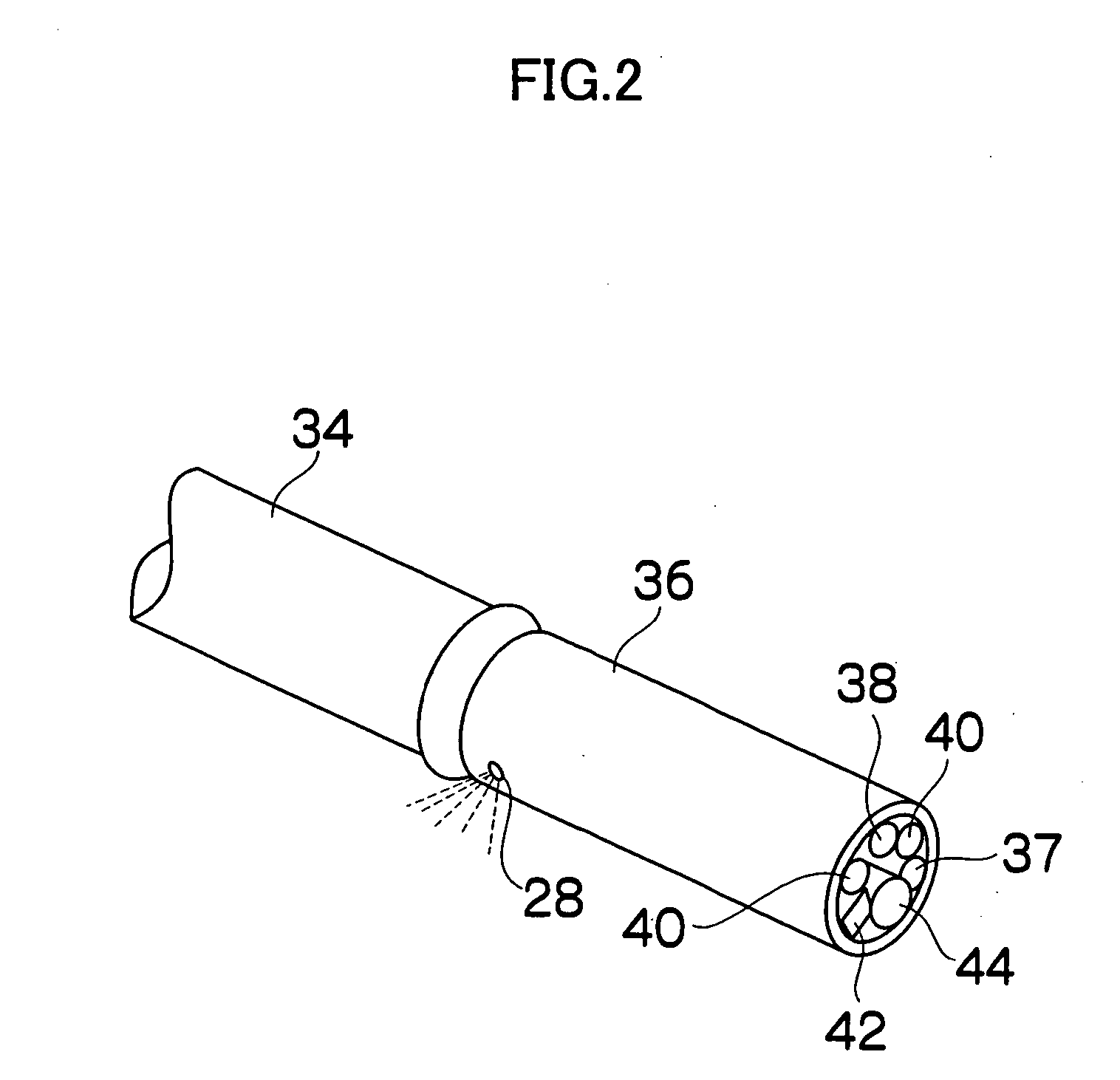 Endoscope apparatus