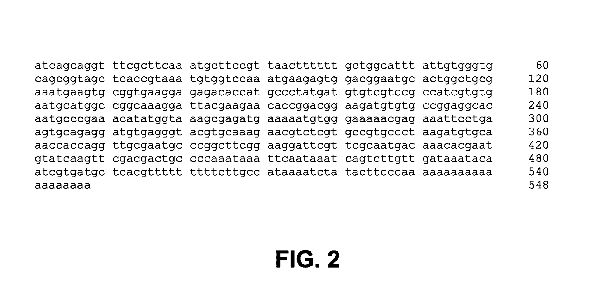 Methods, devices, kits and compositions for detecting roundworm