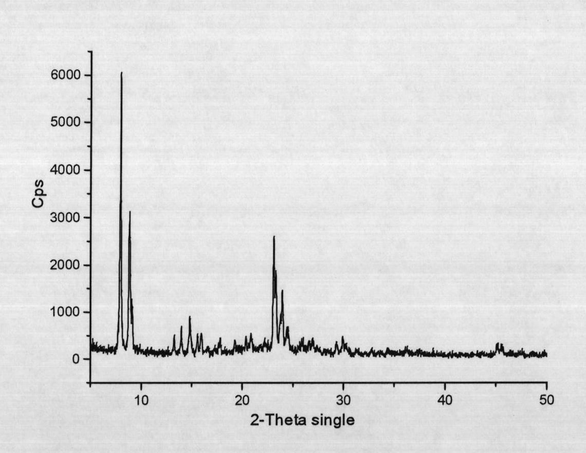 Adhesive-free zeolite catalyst and preparation method thereof