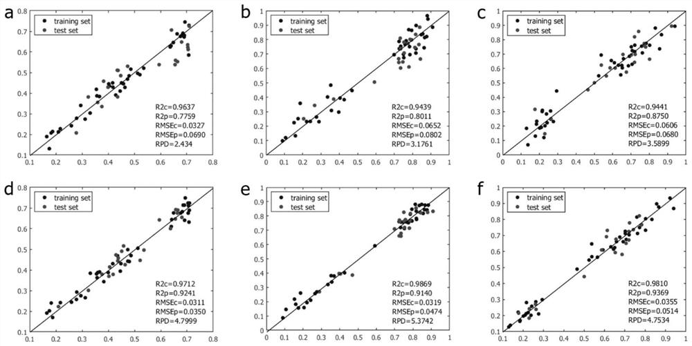 Detection model and method for rapidly detecting quality of curcuma zedoary