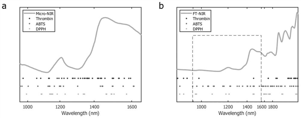 Detection model and method for rapidly detecting quality of curcuma zedoary