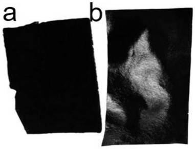 Preparation method and application of polypyrrole photo-thermal film for intercepting volatile organic compounds (VOCs) in water pollution